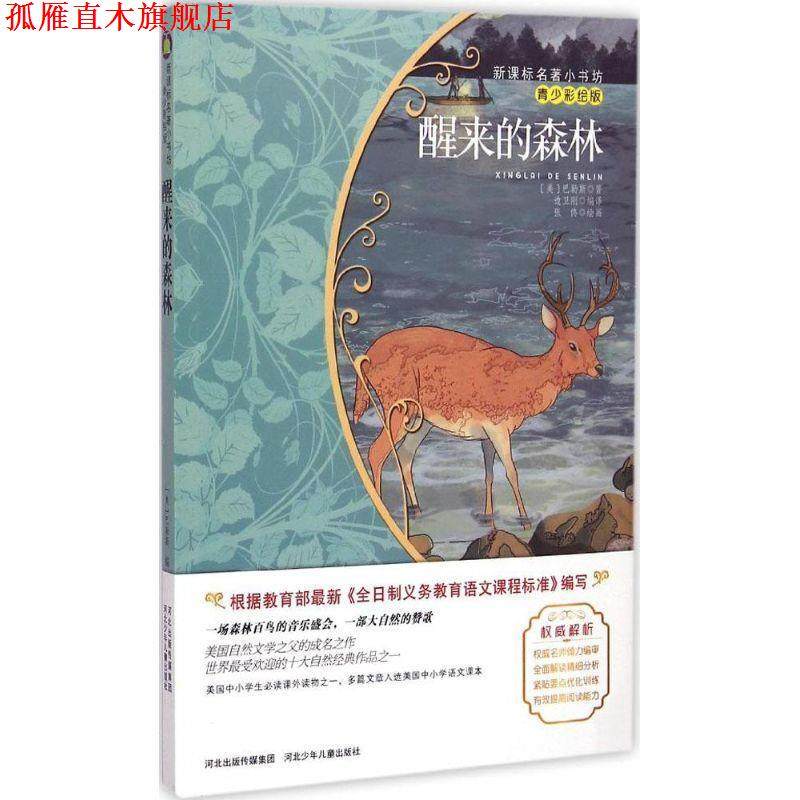 【正版书】 醒来的森林 (美)巴勒斯 著,边卫刚 编译 河北少年儿童出版社