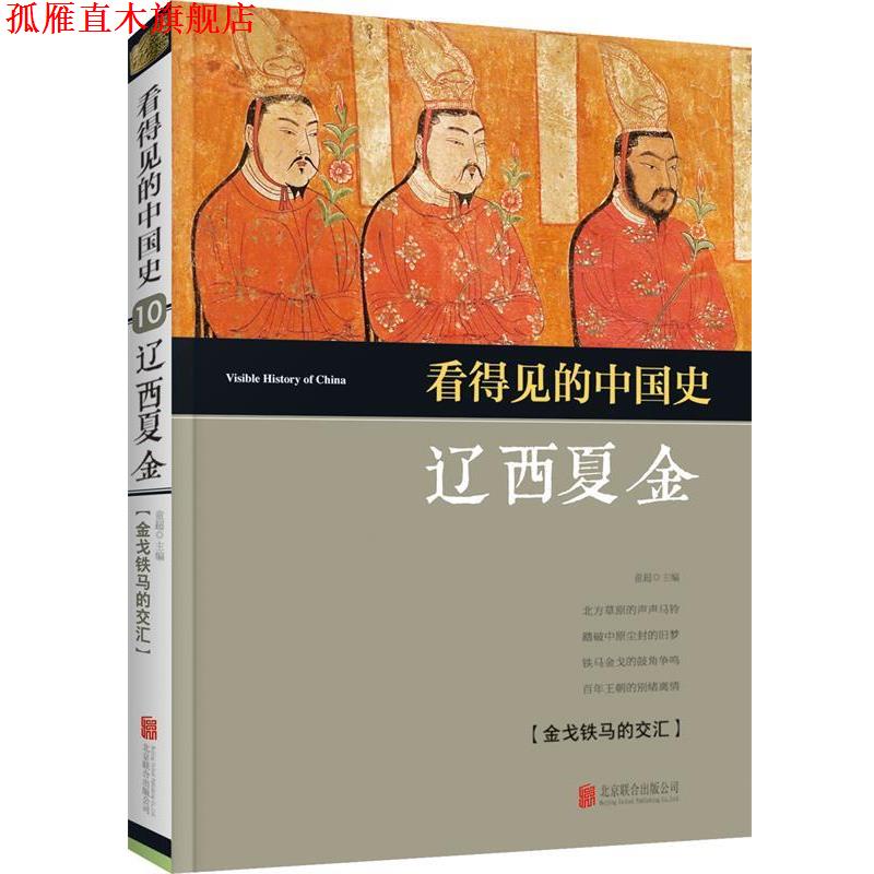 【正版书】 看得见的中国史 辽西夏金 童超 北京联合出版公司