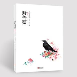 【正版书】 野蔷薇 (日)林真理子　著 青岛出版社