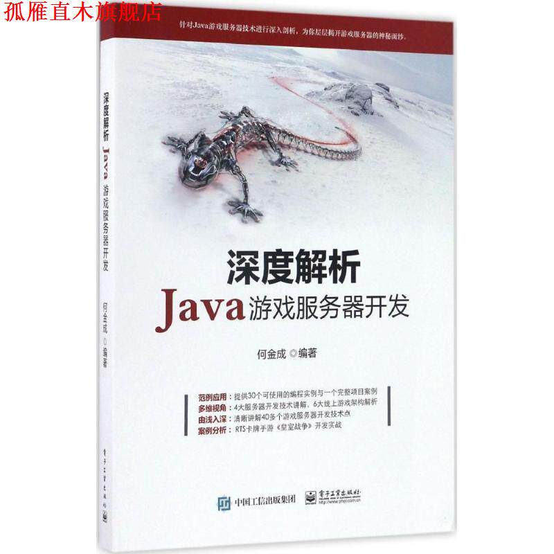 【正版书】 深度解析Java游戏服务器开发 何金成 著 电子工业出版社