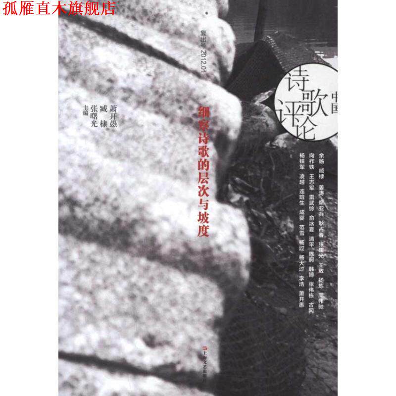 【正版书】 中国诗歌评论:细察诗歌的层次与坡度 萧开愚,张曙光,藏棣 编 上海文艺出版社