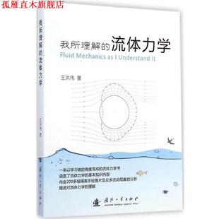 【正版书】 我所理解的流体力学 王洪伟 国防工业出版社