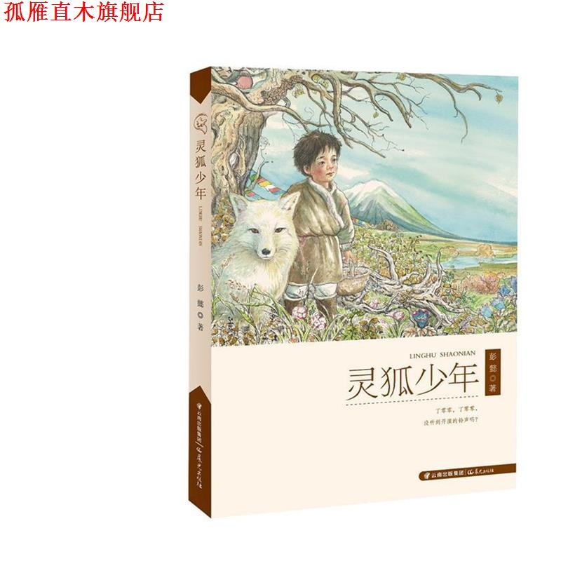 【正版书】 灵狐少年 彭懿 著 云南出版集团公司 晨光出版社