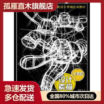 【正版】设计素描u0026middot;川美篇 肖宇崇、陈文博