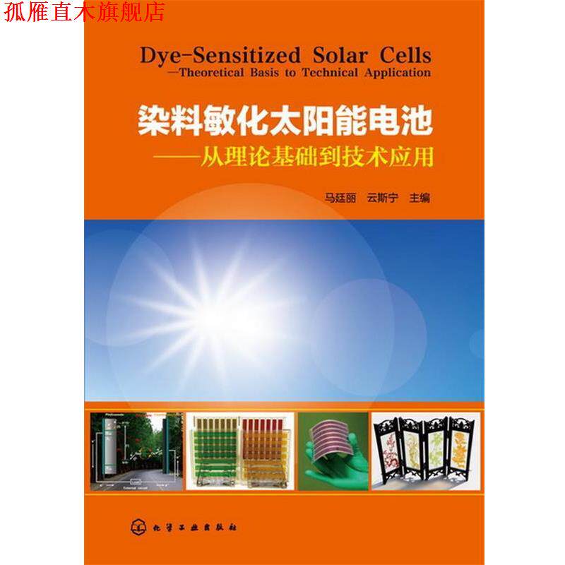 【正版书】 染料敏化太阳能电池--从理论基础到技术应用 马廷丽,云斯宁 主编 化学工业出版社