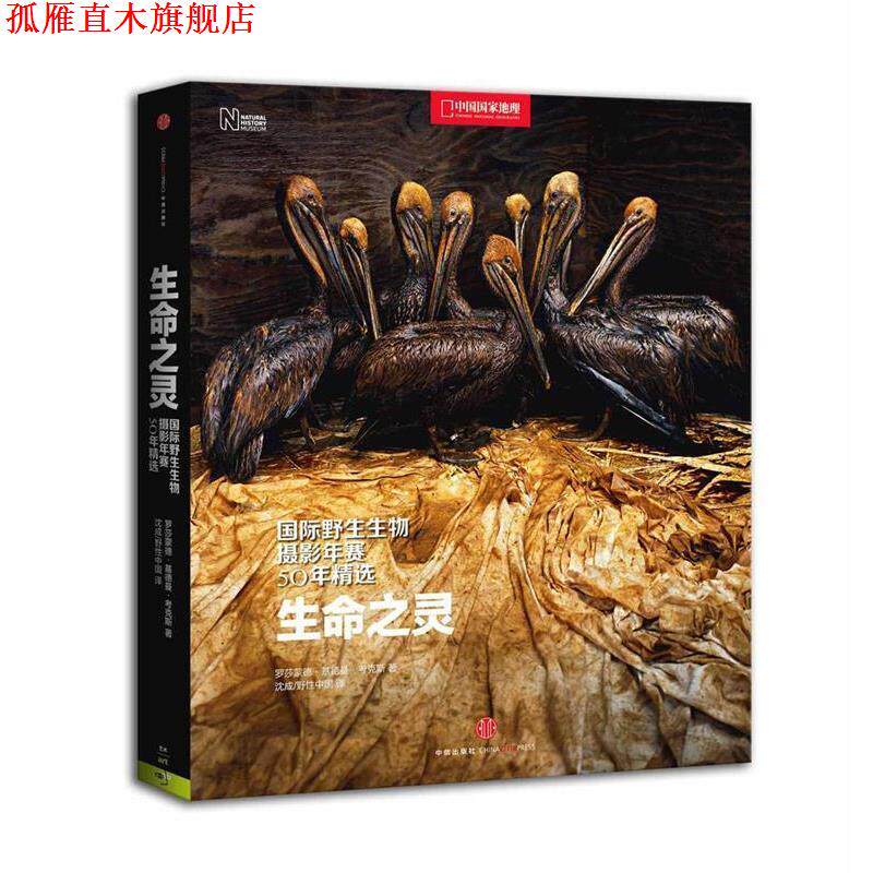 【正版书】 生命之灵:国际野生生物摄影年赛50年精选 罗莎蒙德·基德曼·考克斯 中信出版社