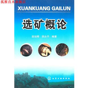 【正版书】 选矿概论 段旭琴 胡永平 化学工业出版社