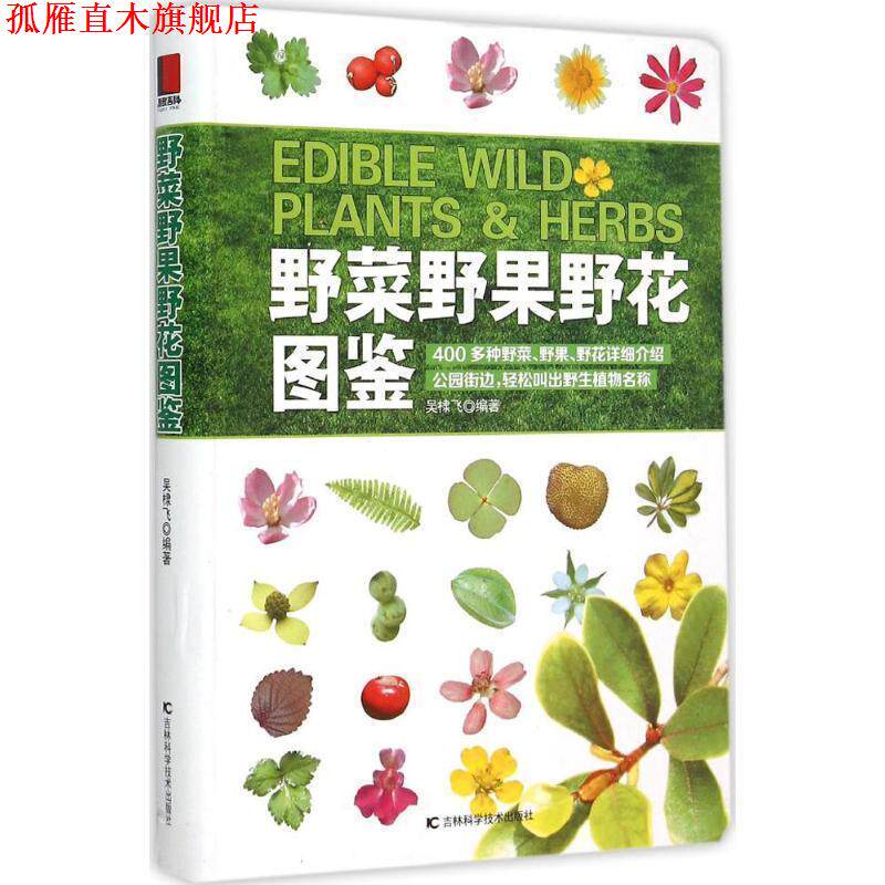【正版书】 野菜野果野花图鉴 吴棣飞 吉林科学技术出版社