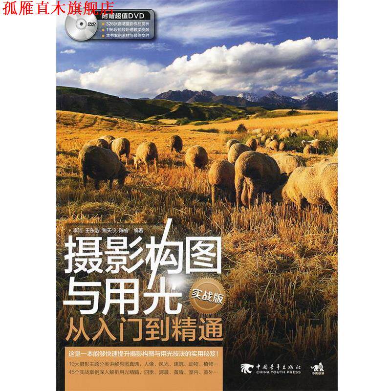 【正版书】 摄影构图与用光从入门到精通 李洁 等编著 中国青年出版社
