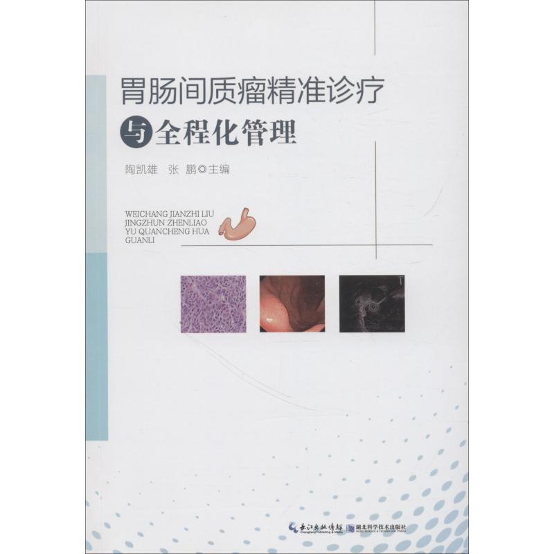 【正版】胃肠间质瘤精准诊疗与全程化管理