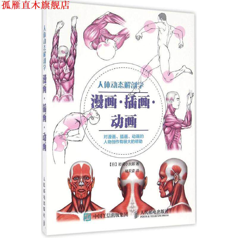 【正版书】 人体动态解剖学 [日] 岩崎小太郎 人民邮电出版社