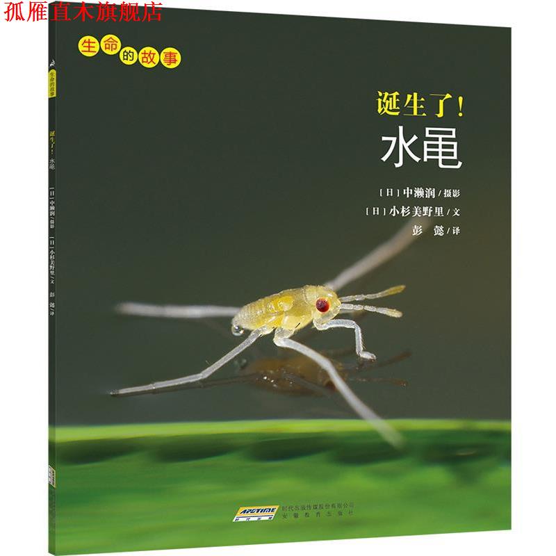 【正版书】 生命的故事:诞生了!水黾 小杉美野里 安徽教育出版社