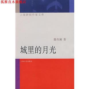 城里 月光 滕肖澜 上海文艺出版 书 著 社 正版