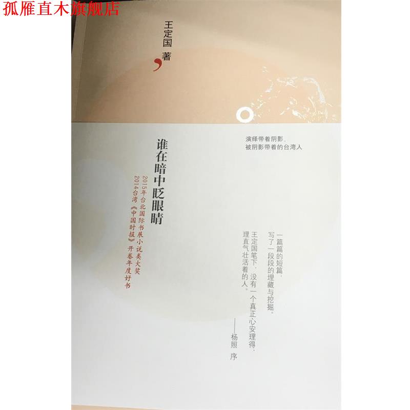 【正版书】 谁在暗中眨眼睛 王定国 著 译林出版社