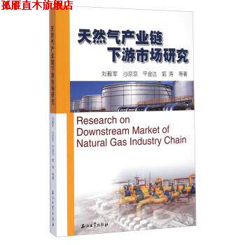 【正版书】 天然气产业链下游市场研究 刘毅军,沙京京,平金达 等 著 石油工业出版社