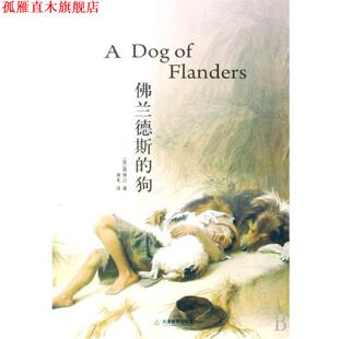 佛兰德斯 社 天津教育出版 肖毛 正版 书 绘画 英 狗 弗朗西丝·布伦戴奇 奥维达 美 译者