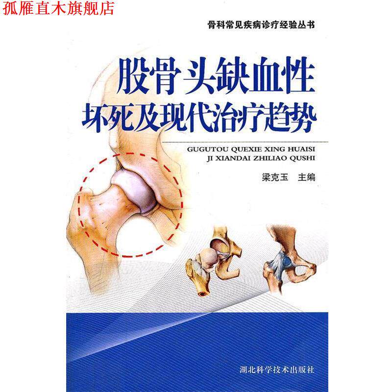 【正版书】 股骨头缺血性坏死及现代趋势 梁克玉 主编 湖北科学技术出版社