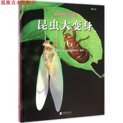 【正版书】 我们去找小昆虫4:昆虫大变身 [日]冈岛秀治 北京联合出版公司