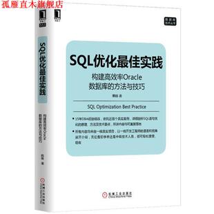 【正版书】 SQL优化实践:构建高效率Oracle数据库的方法与技巧 韩锋 机械工业出版社