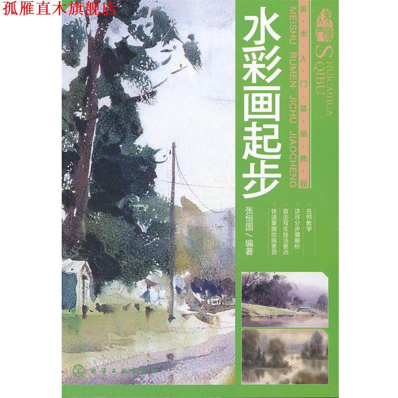 【正版书】 美术入门基础教程--水彩画起步 张恒国 化学工业出版社