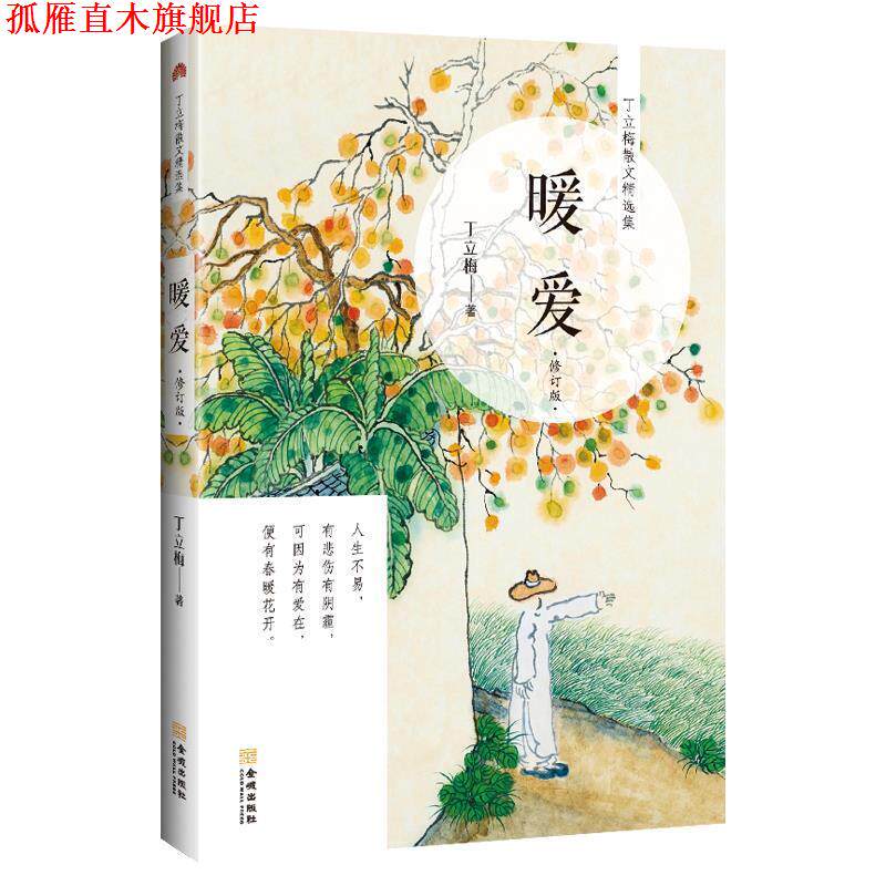 【正版书】 暖爱 丁立梅 金城出版社