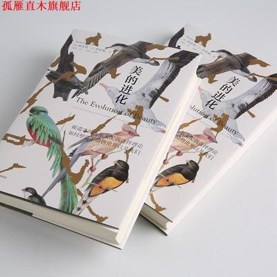 【正版书】 美的进化 [美]理查德·O.普鲁姆 中信出版社