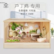 芦丁鸡窝全套芦丁鸡造景小屋芦丁鸡箱子芦丁鸡窝造景房子室内育