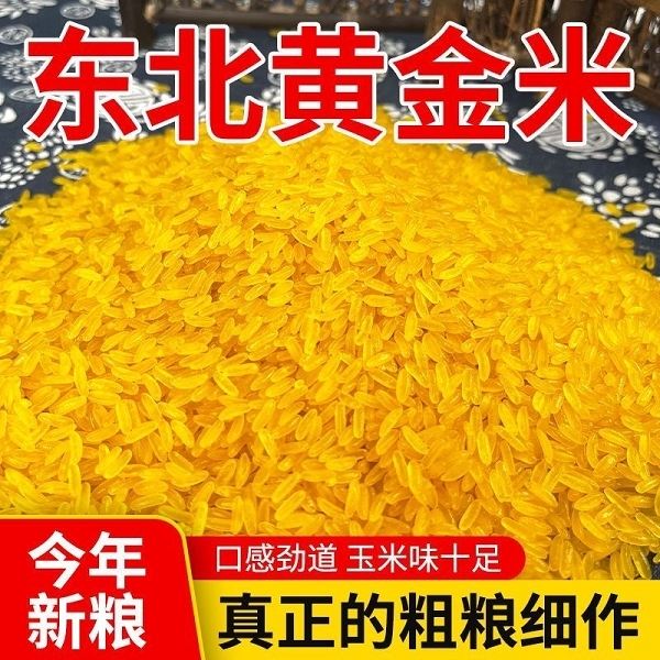 鱼小弟精选正宗东北黄金米