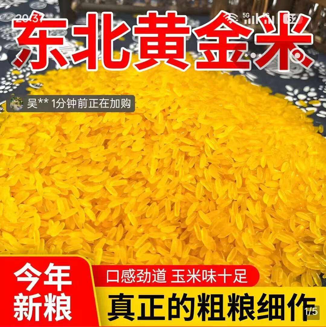 盛莱德食品正宗东北黄金米25年新货健康五谷杂粮玉米粒碴粘糯大米