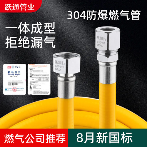 高压防爆家用热水器天然气管