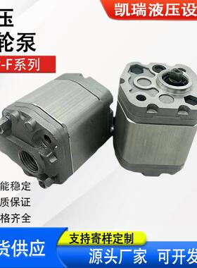 新款齿轮泵RGP-F106 RGP-F111液压油泵RGP-F113/F116/F118/F1包邮