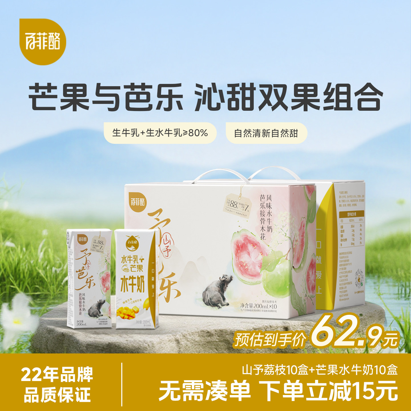 百菲酪芭乐接骨木花水牛奶+芒果水牛奶组合营养学生奶早餐风味乳