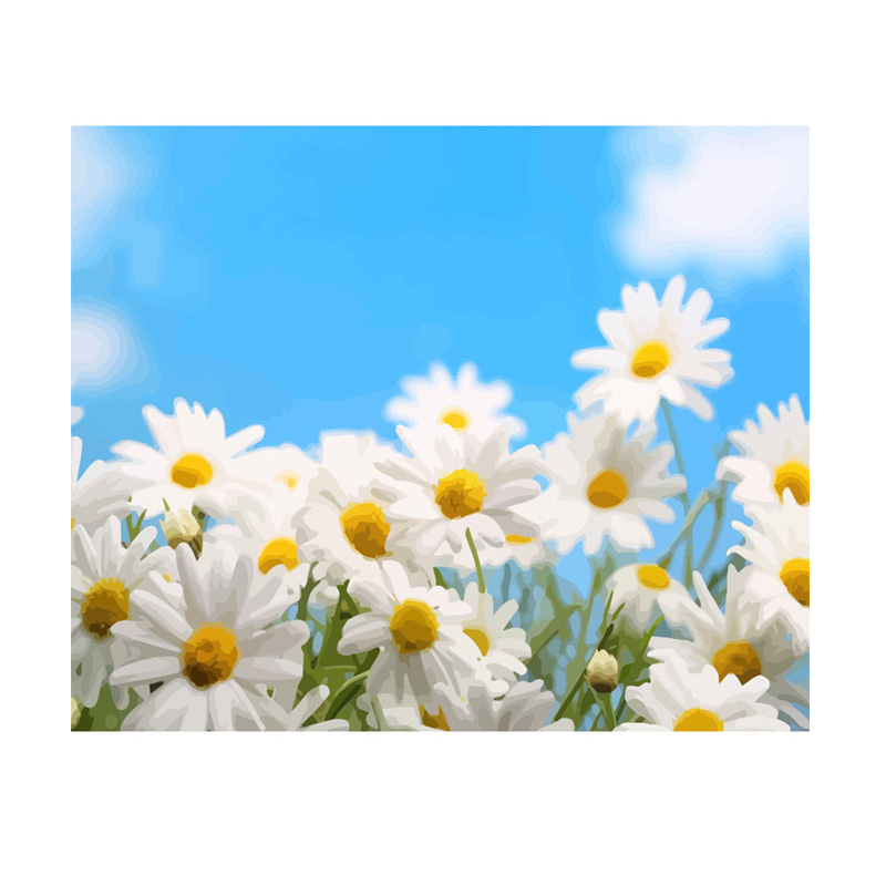 数字油画diy填充清新洋甘菊手b工填色画画菊花手绘风景装饰油彩画
