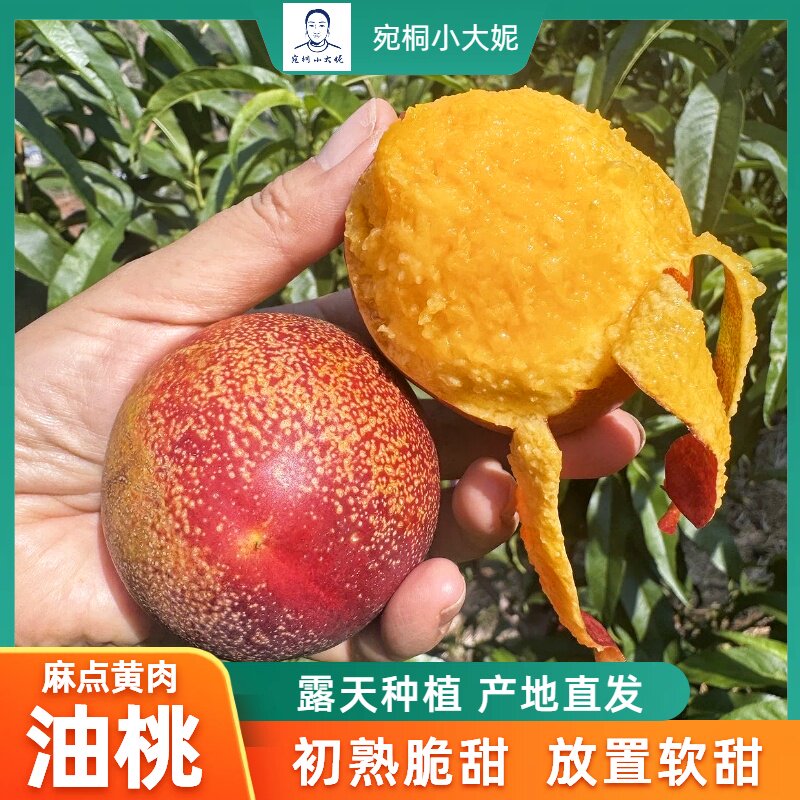 桐柏露天油桃黄肉麻点甜桃新鲜当季脆甜多汁现摘3斤5斤南阳桃子