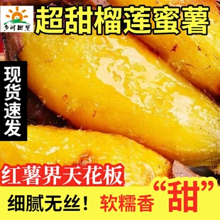 红瑶玛莎莉名门金时榴莲蜜薯糯甜农家沙地番红薯烤地瓜糖心流蜜