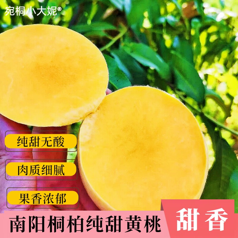 纯甜黄金蜜桃彩虹黄桃南阳桐柏特产孕妇儿童老人应季新鲜水果