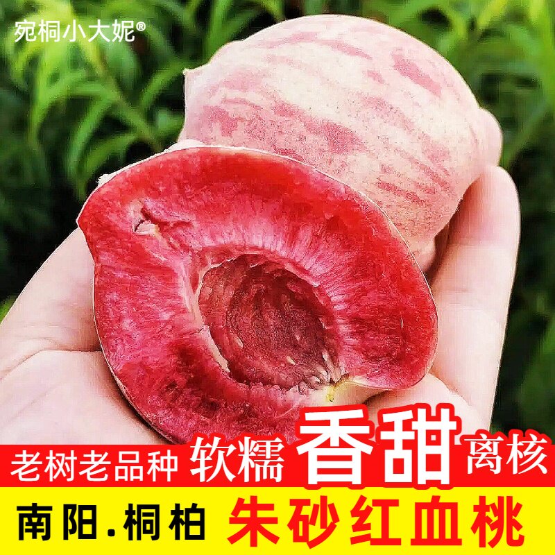 老品种朱砂红桃南阳桐柏离核血桃山坡红心桃子5斤现摘应季毛桃