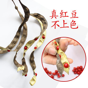 红豆手串菩提子佛珠108颗念珠相思豆本命年手链男女七夕礼物