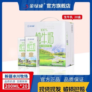 新疆牛奶金绿城纯牛奶200ml*20盒整箱成人学生儿童全脂早餐纯牛奶