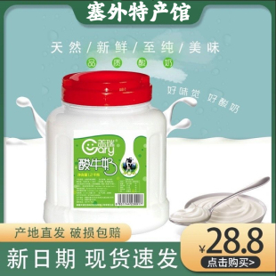 新疆天润盖瑞酸奶大桶装1.2kg装水果捞网红原味浓缩风味老酸奶