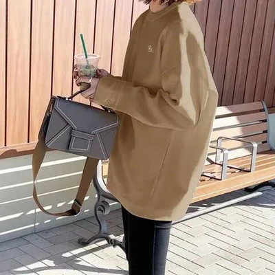 现货宽松刺绣卫衣上衣休闲百搭慵懒风2024年设计感新款女百搭秋季