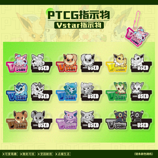 PTCG 伊布Vstar指示物套装宝可梦卡片用骰子币神奇宝贝周边桌游
