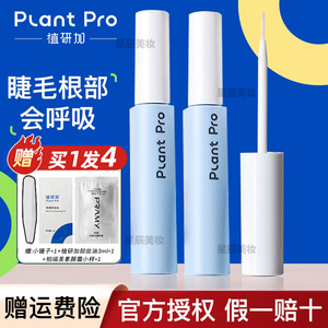 植研加假睫毛胶水温和速干超粘