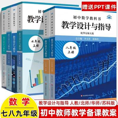 2025初中数学教学设计与指导