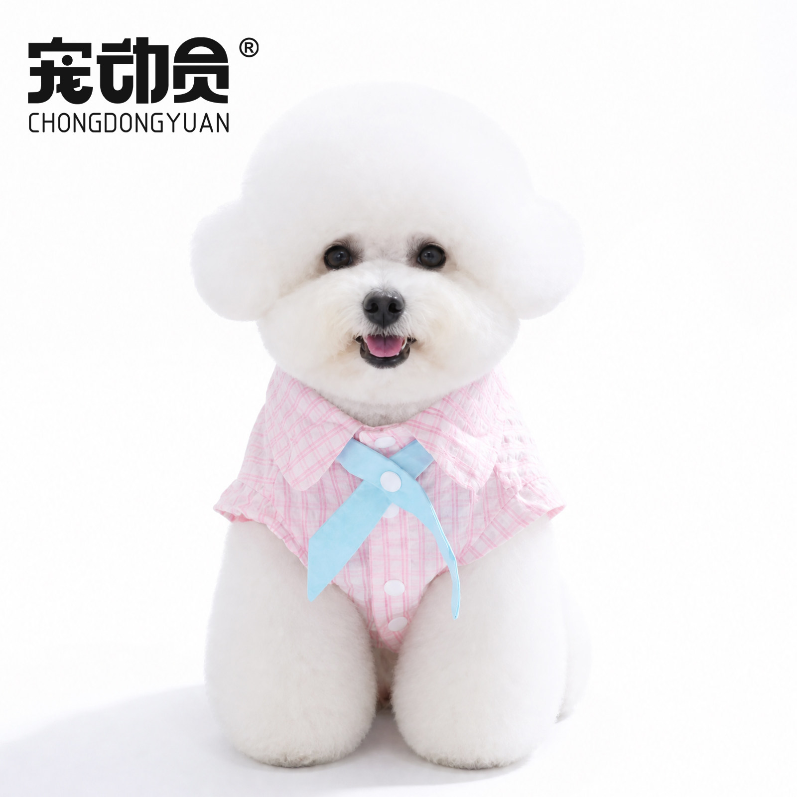 宠动员狗狗衬衫冬可爱学院风蝴蝶结领带小型犬中型犬宠物服装
