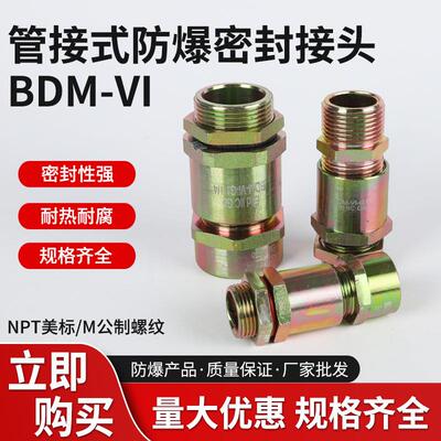 BDM-IV管接式防爆密封接头内上螺纹单密封填料函格兰头防爆管接头