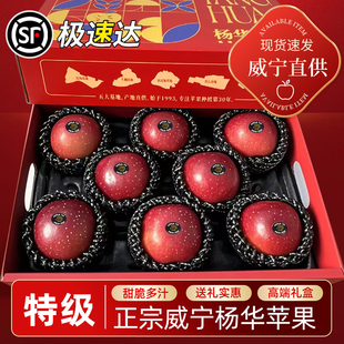 包邮 正宗威宁杨华苹果特级礼盒当季 新鲜现摘脆甜多汁产地直发顺丰
