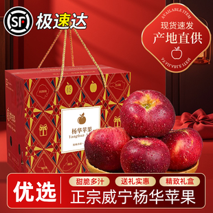 包邮 正宗威宁杨华苹果高山种植当季 新鲜现摘脆甜多汁产地直发顺丰