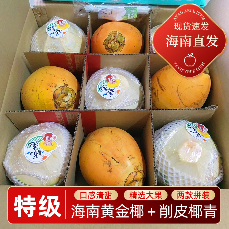 海南黄金椰红椰奶椰子去皮青椰新鲜水果9个装包邮现摘带皮送开器