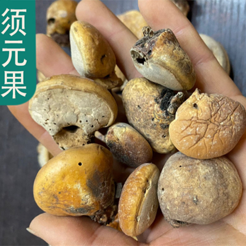 中药材 须元果 别名:藏元果 无根果 觅阳果 树疙瘩 500克 统